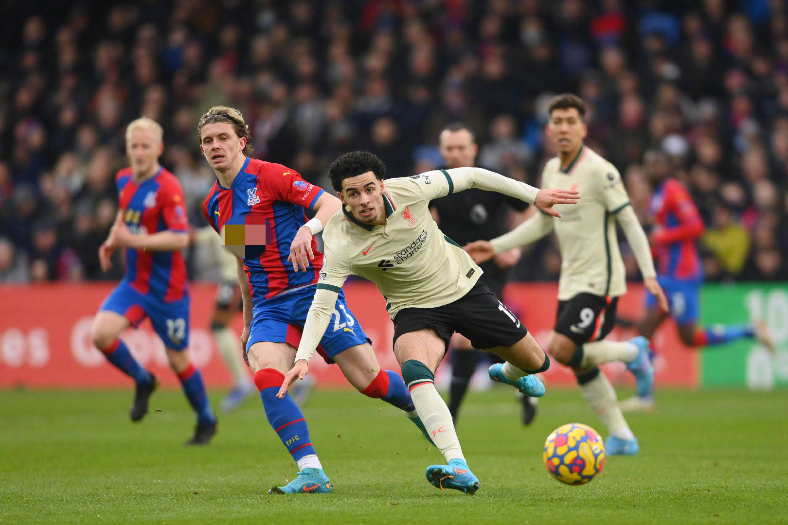 必然选择 必然选择