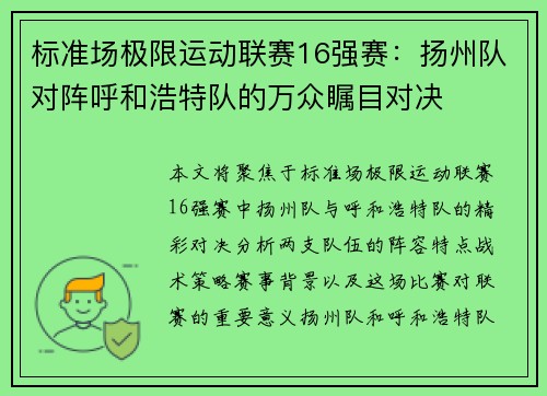 标准场极限运动联赛16强赛：扬州队对阵呼和浩特队的万众瞩目对决